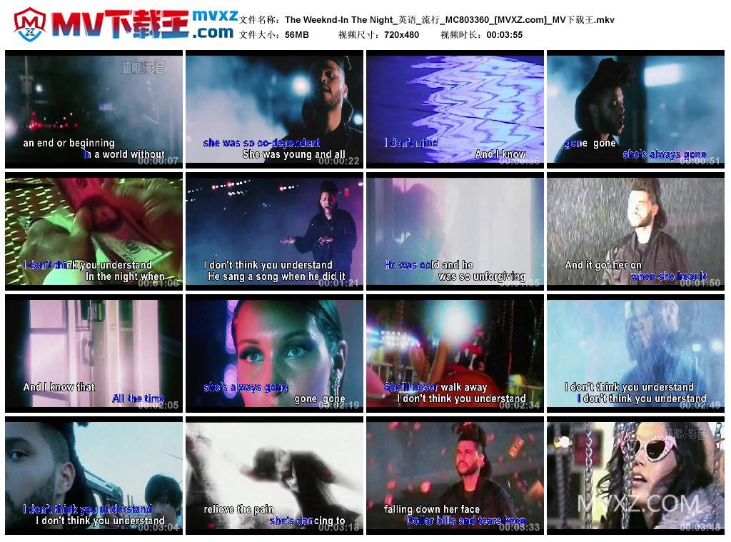 The Weeknd-In The Night_英语_流行_MC803360